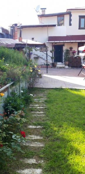 Nature Wiew Villa